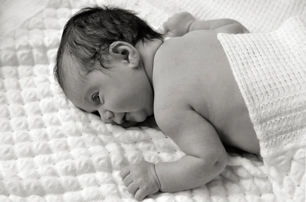 Newborn baby - portrait — Stock Photo, Image