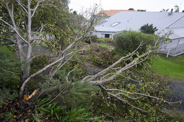 Повреждения от шторма
