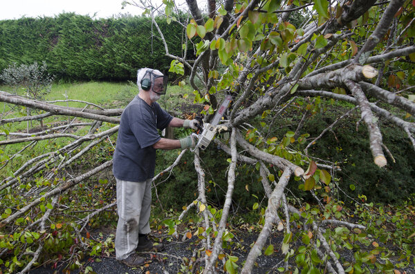 Повреждения от шторма

