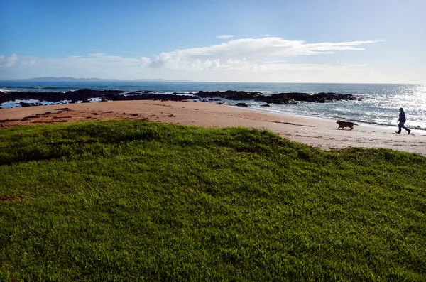 Man loopt zijn hond op het strand — Stockfoto