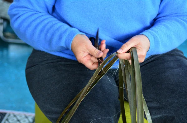 마 오리 길 쌈 한 작품 — 스톡 사진