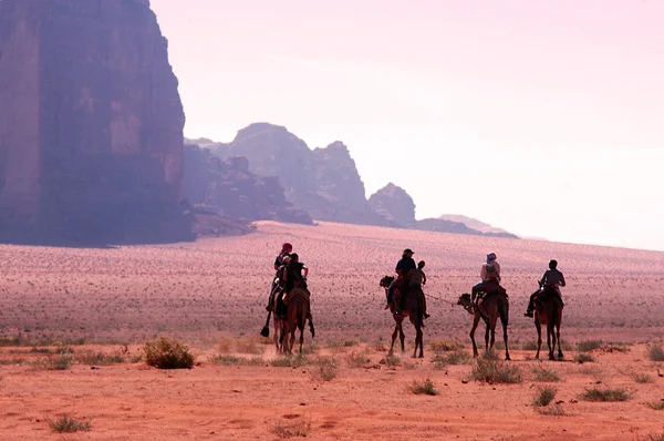 Camel équitation dans Wadi Rum, Jordanie — Photo