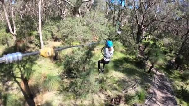 Menina Jovem Idade Feminina Passeio Uma Tirolesa Uma Floresta — Vídeo de Stock