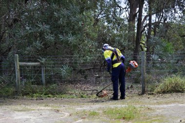 Açık havada çalı biçme makinesi kullanan profesyonel bir bahçıvan..