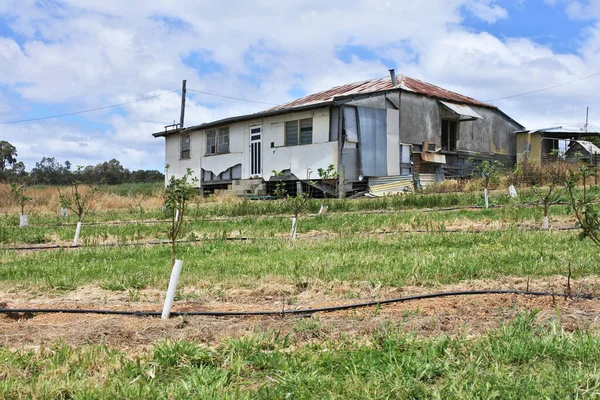 Ancienne Ferme Abandonnée Australie Occidentale Outback — Photo