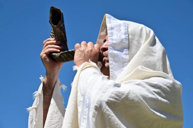 Orthodox Jewish man blow Shofar (ram's horn) outdoors under clear blue sky, on the Jewish High Holidays in Rosh Hashanah and Yom Kippur. clipart