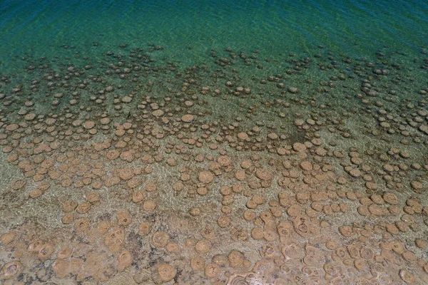 Vue Aérienne Paysage Lac Clifton Thrombolites Australie Occidentale — Photo
