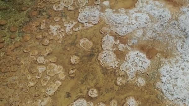 Batı Avustralya Daki Clifton Gölü Thrombolites Hava Manzarası — Stok video