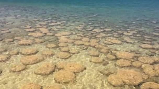 Τοπίο Της Λίμνης Clifton Θρομβολίτες Clifton Δυτική Αυστραλία Αυστραλία — Αρχείο Βίντεο