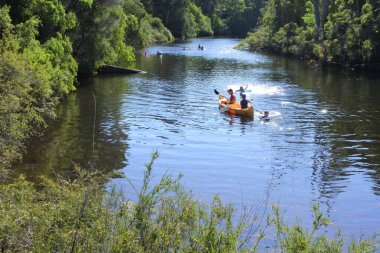 MARGARET RIVER, WA - 20 Ocak 2022: Avustralya halkı yaz tatili boyunca Margaret Nehri üzerinde kano yapıyor. Margaret Nehri Güney Batı Avustralya 'da popüler bir seyahat merkezidir.