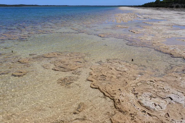 Landskap Lake Clifton Tromboliter Clifton Western Australia Australien — Stockfoto