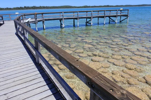 澳大利亚西澳大利亚克利夫顿克里夫顿湖上的木制防波堤 — 图库照片
