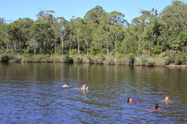 マルガレット川 2022年1月20日 オーストラリア人は夏休み中にマーガレット川で泳いでいます — ストック写真