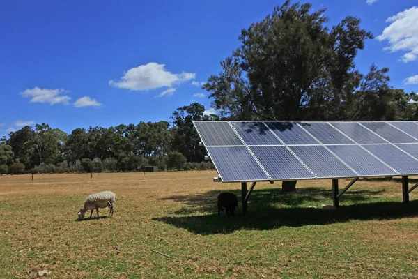 Paneles Solares Granja Animales Interior Australia Occidental — Foto de Stock