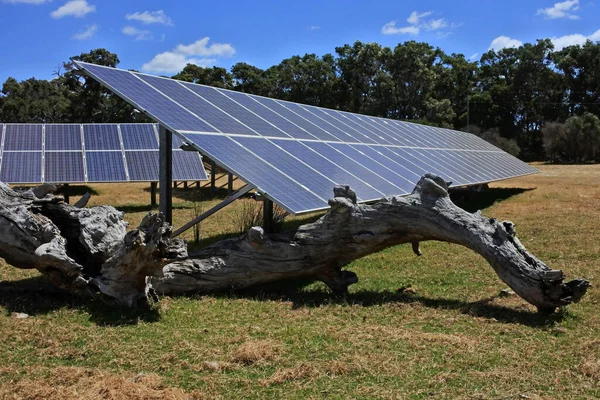 Grandi Pannelli Solari Terreno Agricolo Nell Australia Occidentale — Foto Stock