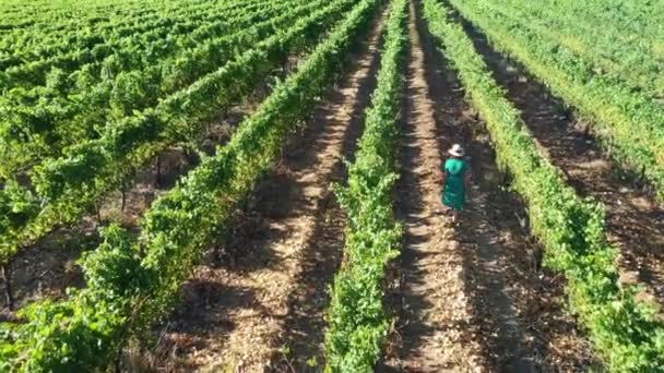 Luchtlandschap Uitzicht Australische Volwassen Vrouw Wandelen Een Wijnstok Groeien Margaret — Stockvideo