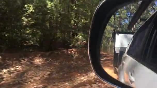 オーストラリア西部のペンバートン近くのカーリ森林探検家の道の旅の間に森の中で車やキャラバンの運転のサイドミラービューの反射 — ストック動画