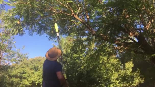 Adult Australian Man Male Age Farmer Cutting Tree Branch Farm — Stock Video