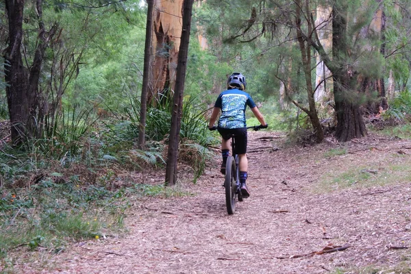 Mountain Biking Person Riding Bike Karri Forest Pemberton Western Australia — Stock Photo, Image