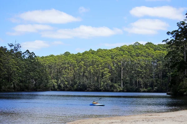 Persoon Kajakken Big Brook Dam Meer Bij Pemberton West Australië — Stockfoto