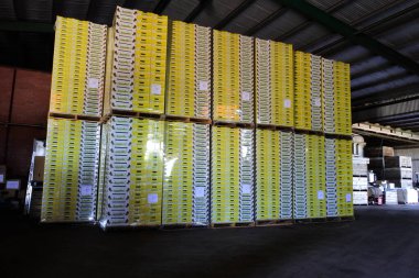 PEMBERTON, WA - 14 Şubat 2022 Taze meyve ve sebze ambalajlama deposu. WA 'daki tarım üretimi, devlet ve ulusal ekonomiye önemli bir katkı sağlamaktadır..