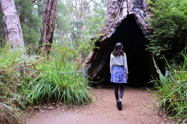 Widok Tyłu Australijskiej Dziewczyny Przechodzącej Przez Duże Wysokie Drzewo Pobliżu — Zdjęcie stockowe