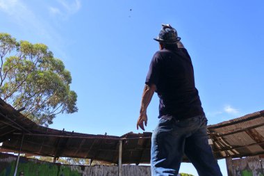 KALGOORLIE, WA - 18 MAR 2022: 2-up geleneksel Avustralya kumar oyunu. Oyuncular yazı tura mı, tura mı, tura mı, yazı mı, yoksa yazı mı gelecek diye bahse girerler..