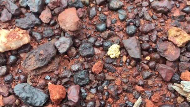 Ein Großer Goldklumpen Der Zwischen Maisteinen Outback Von Westaustralien Gefunden — Stockvideo