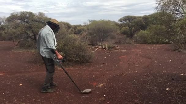 Prospektor Emas Australia Mencari Emas Ladang Emas Pedalaman Australia Barat — Stok Video