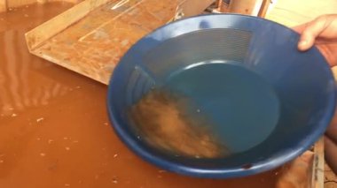 Yetişkin bir insanın eli, altın tepside tepiniyor..