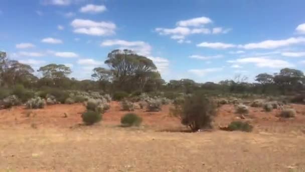 Vista Veicolo Movimento Lungo Paesaggio Dell Entroterra Durante Viaggio Australia — Video Stock