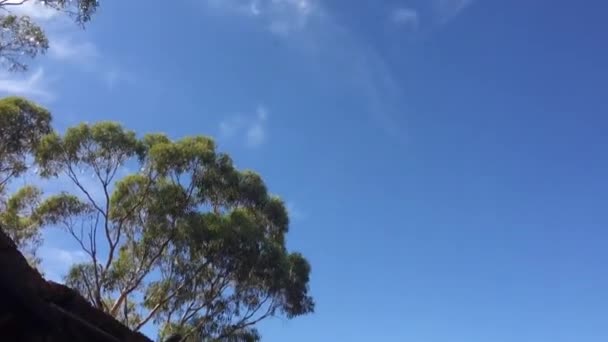 Kalgoorlie Mar 2022 호주의 선수들은 번나올 것인지 번나올 것인지 번나올 — 비디오