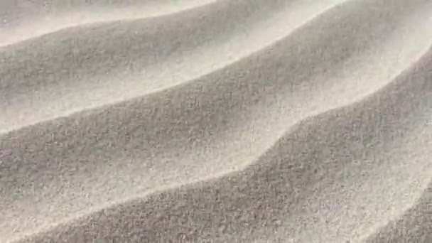 White Sand Ripples Abstract Background Texture — Stock Video