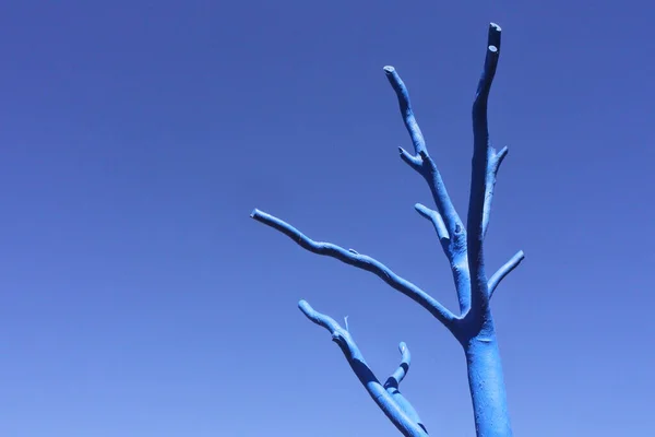Uma Árvore Morta Azul Pintada Isolada Contra Céu Azul Claro — Fotografia de Stock