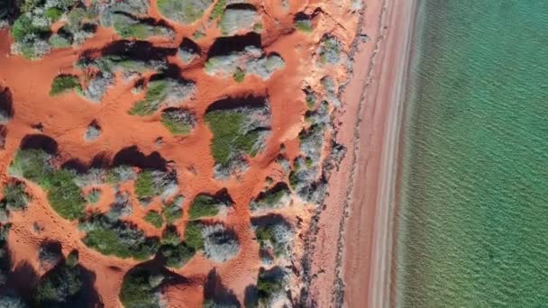 Batı Avustralya Nın Shark Körfezi Ndeki Peron Yarımadası Nda Kıyı — Stok video