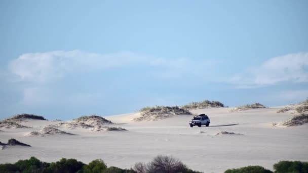 Kalbarri Apr 2022 4Wd Vehicle Driving Sand Dune Kalbarri Western — Stockvideo