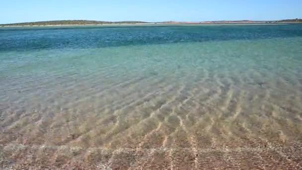 Clear Lagoon Water Seascape Peron Peninsula Shark Bay Western Australia — Stockvideo