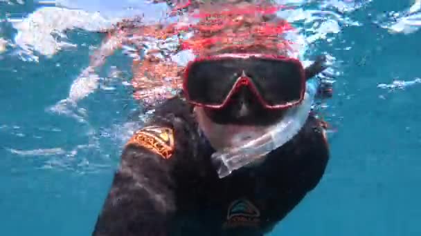 Okyanusta Tek Başına Şnorkelle Yüzen Yetişkin Bir Insanın Portresi Erkek — Stok video