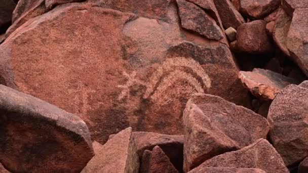 Ancient Indigenous Aboriginal Australians Rock Carvings Dampier Archipelago Western Australia — стоковое видео