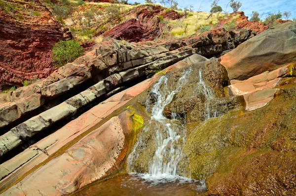 Landscape View Fresh Water Flowing Hamersley Gorge Karijini National Park — Zdjęcie stockowe