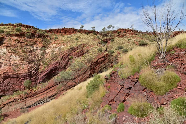 Landscape View Hamersley Gorge Karijini National Park Pilbara Region Western — Foto Stock