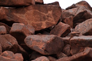 DAMPIER, WA - Haziran 07 2022: Aborjin Petroglyphs of a wallaby on rock. Batı Avustralya 'daki yarımada ve Dampier takımadalarında binlerce yıl öncesine dayanan 1 milyondan fazla kataloglanmış petroglyphs var..