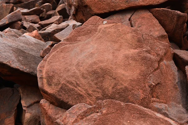Dampier June 2022 Aboriginal Petroglyphs Emu Rock More Catalogued Petroglyphs — ストック写真