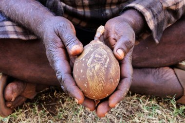 BROOME, WA - JULY 03 2022:Indigenous Australian aboriginal man hands holding an engraved boab tree nut shell used for thousands of years as a canvas for expression, creativity and storytelling designs