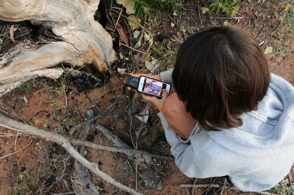 Broome July 2022 Person Playing Geocaching Outdoor Recreational Activity Which — Stock Photo, Image