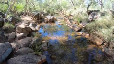 Landscape view of Millstream Chichester Range National Park Pilbara region Western Australia.
