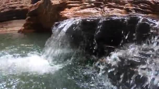 Small Waterfall Kermits Pool Swimming Hole Located Canyon End Spider — Wideo stockowe