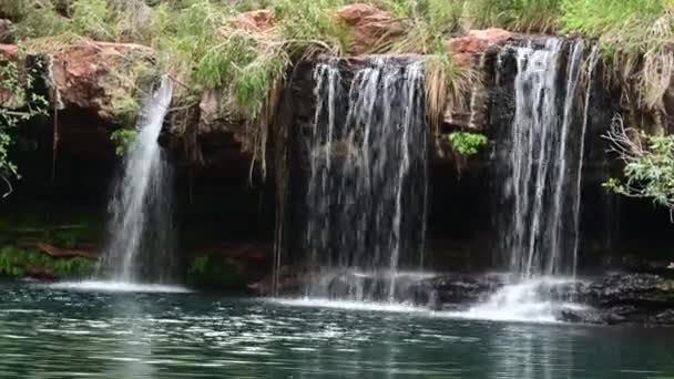 Landscape View Fern Pool Dales Gorge Karijini National Park Western — Stok video