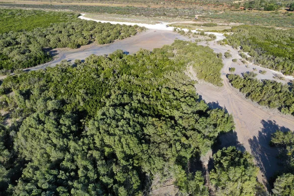 Aerial landscape view of mangroves forest on sandy beach the Kimberley region Western Australia.