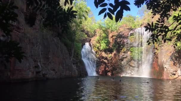 Landscape View Florence Falls Cascade Litchfield National Park Northern Territory — 비디오